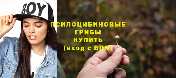 СК Михайлов