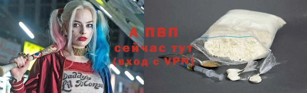 СК Михайлов