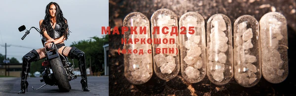 СК Михайлов