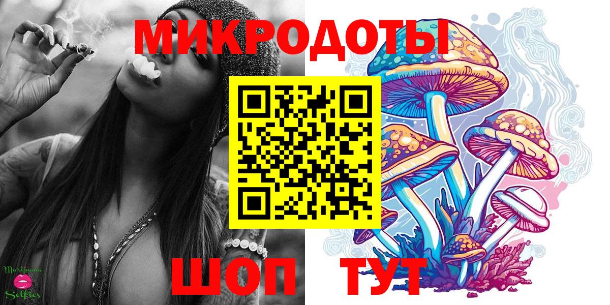 Галлюциногенные грибы Cubensis Майкоп
