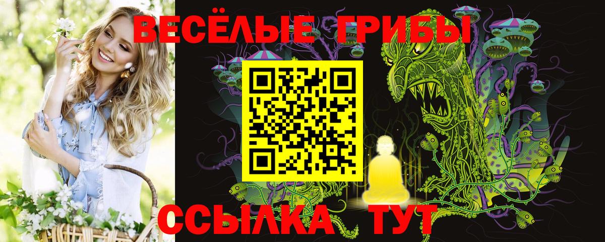 Псилоцибиновые грибы ЛСД Майкоп