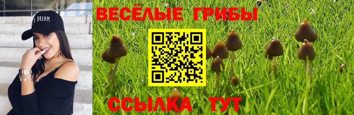 Псилоцибиновые грибы мухоморы  Галлюциногенные грибы MAGIC MUSHROOMS  Майкоп  Вход с VPN 